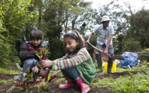 teaching kids to grow produce